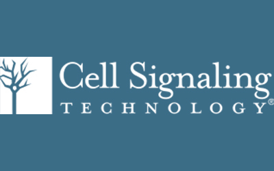 cellsignal